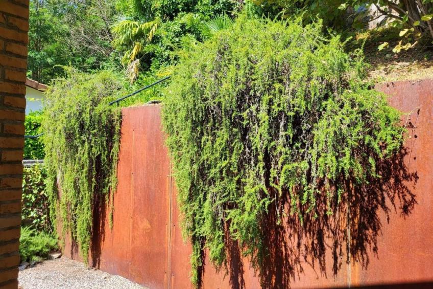 Casa Gorlino - foto 33