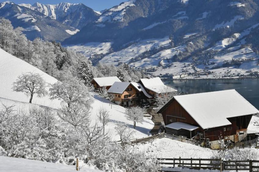 Holzhaus auf Lamahof - foto 4