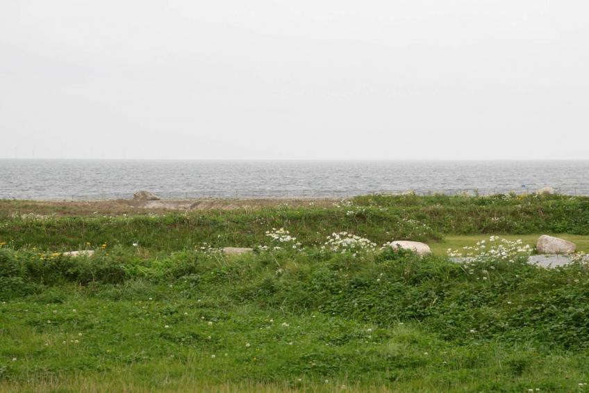 BF-ZGF3H - foto 76