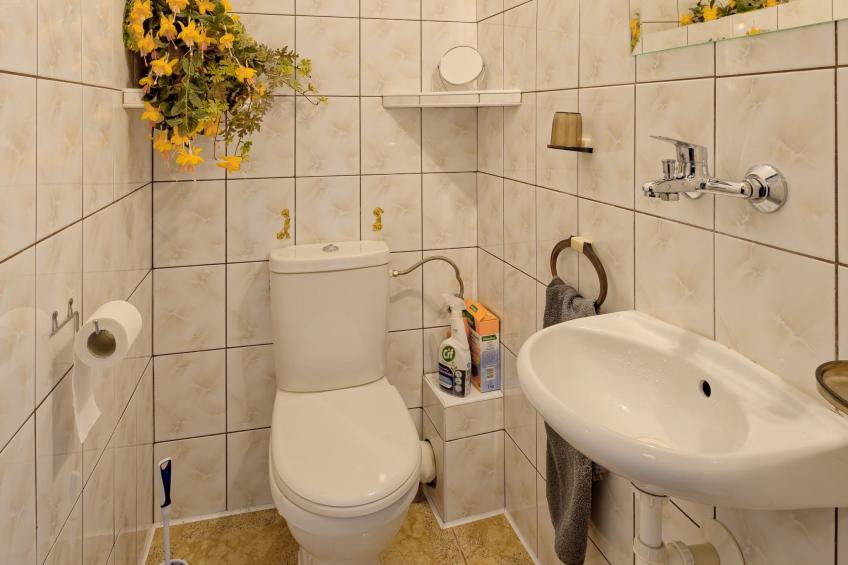 Trzy Brzozy - foto 23