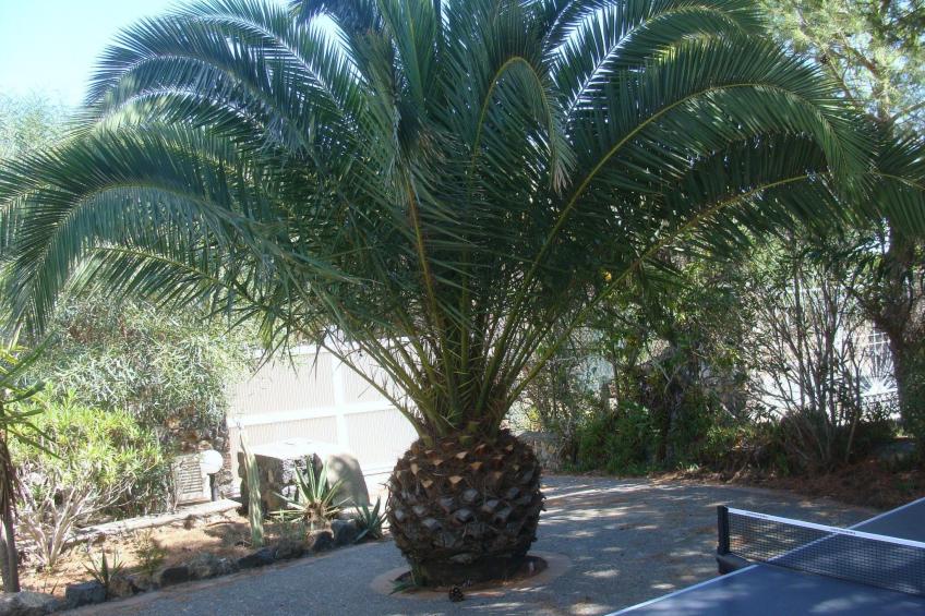Villa Noir in Vulcanello - foto 31