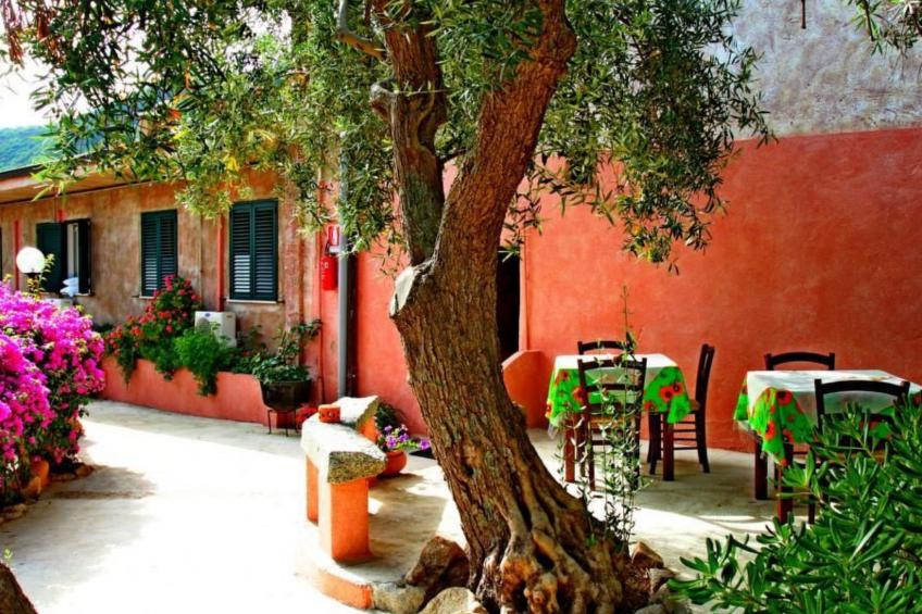 mit Terrasse - foto 34