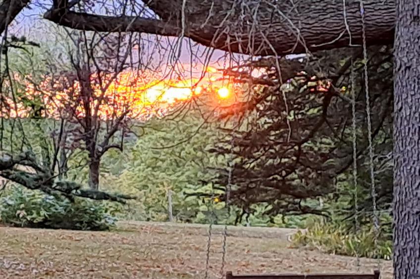 Der Pavillon - im Park des Schlosses Lescaut - foto 39