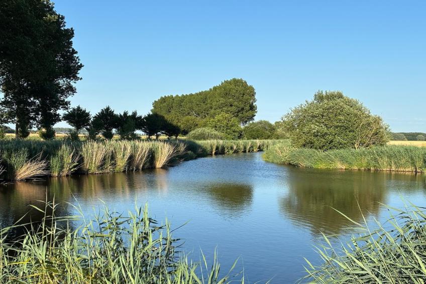 De Biezenpolder - foto 45