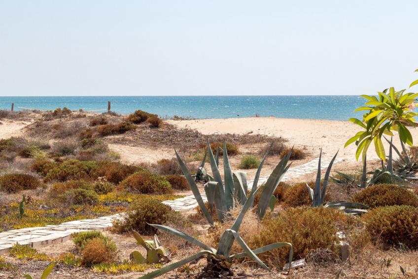 Amarillis, Wohnung am Strand - foto 22