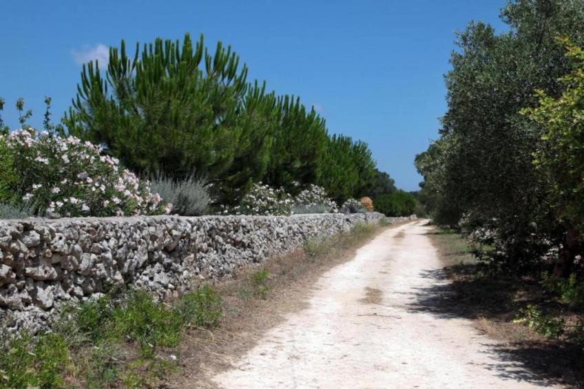 Appartamento Martina Franca - Centro Storico - foto 38