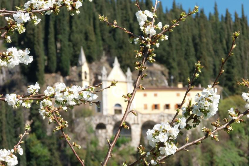 Anwesen mit Garten, Grill und Terrasse