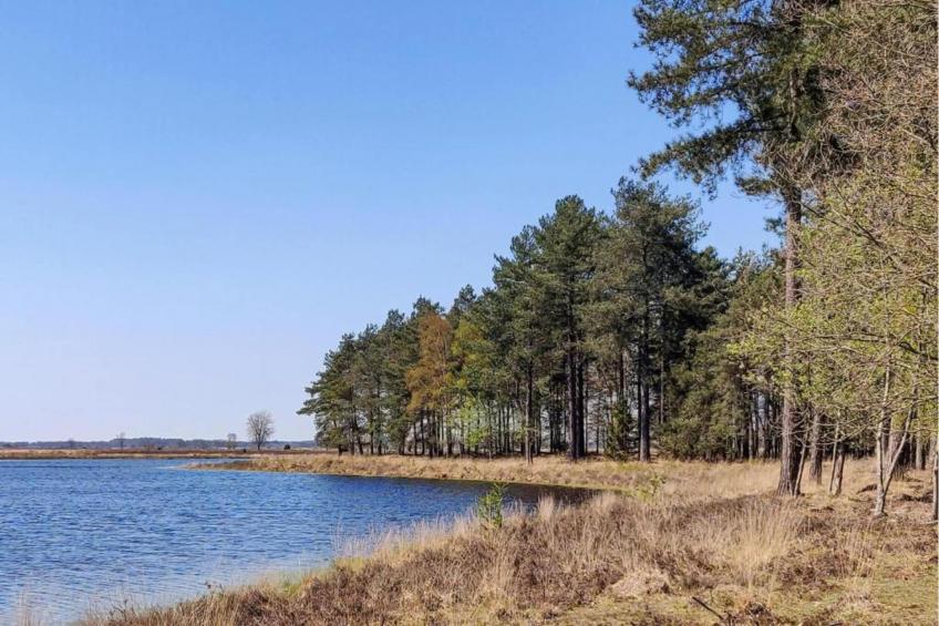 Vakantiepark de Noordster 3 - foto 31