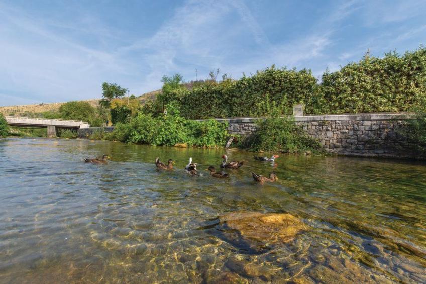 Žrnovnica, Entspannung am Flussufer - foto 22