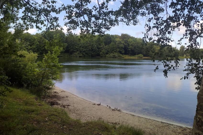 Haus Hanni - foto 18