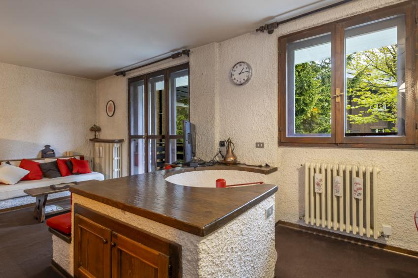 Pino Bianco - foto 17