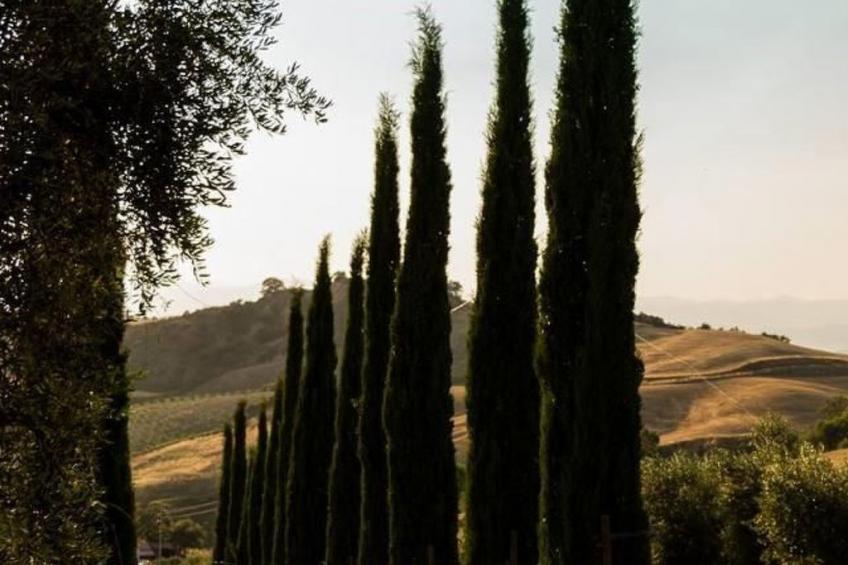 Schornsteinfegerhäuschen - foto 21