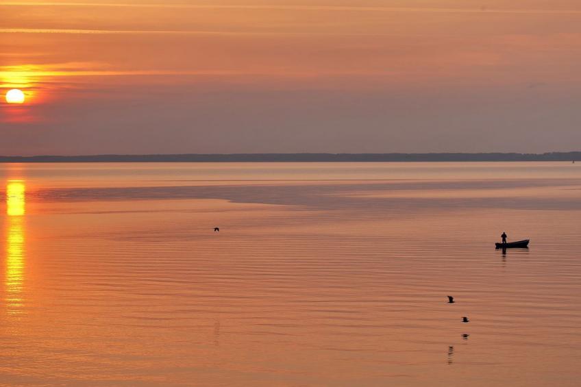 "Amia" - 20m from the sea in Funen - foto 24