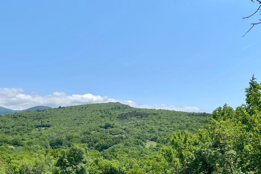 Villa Theresa - foto 41