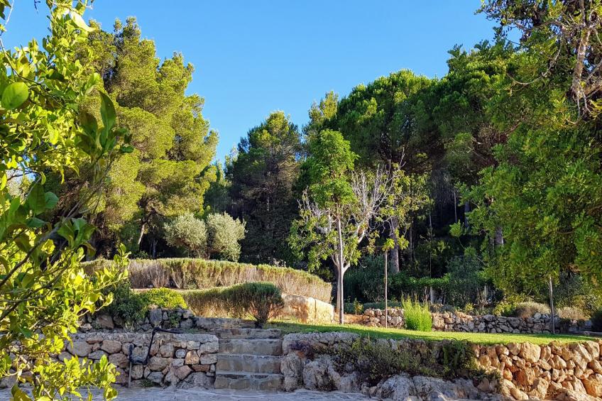 Finca Planetas - foto 47