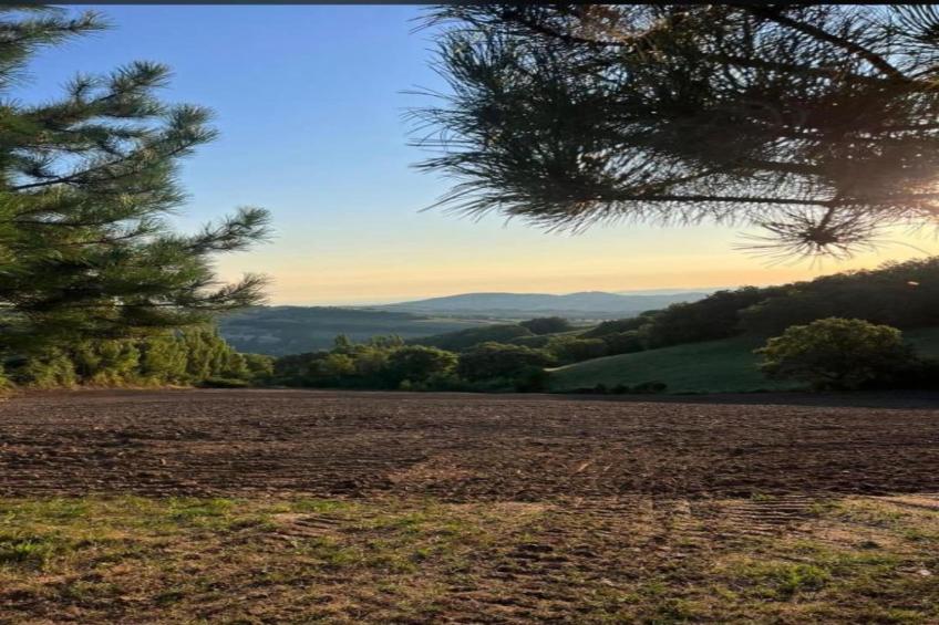 Casa Oliva - foto 32