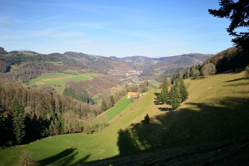 Appartements - Ferme La Joux-Chaupe, (St-Ursanne), - foto 17