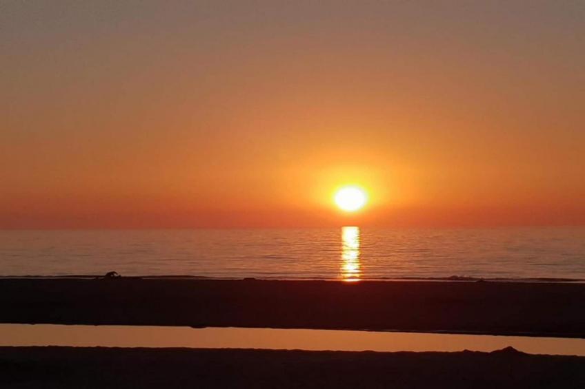 De Zeeuwse Schuur - comfort 4 personen huisdier - foto 36