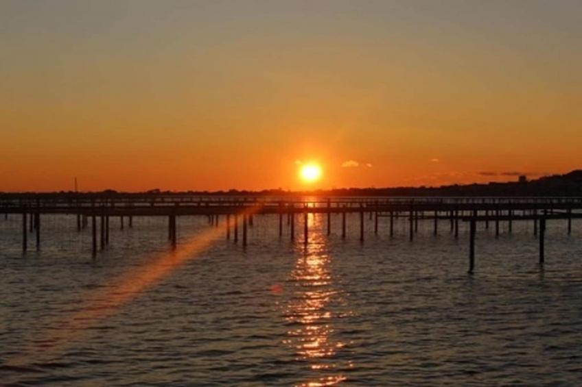 Terra Gaïa - foto 26