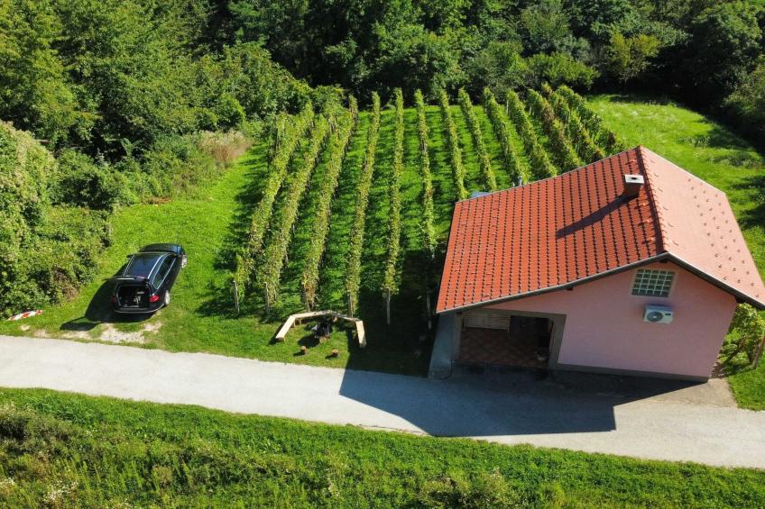 Harvest Horizon Holiday Home with Sauna - One Bedroom Holiday Home - foto 35