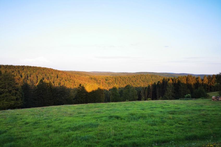 Wunderschönes Ferienhaus in Frauenwald mit Garten, Terrasse und Grill - foto 44