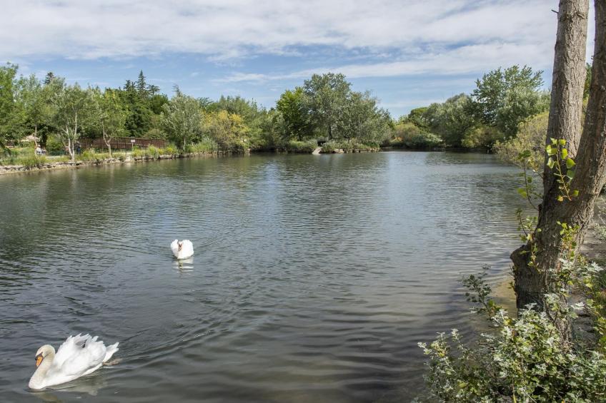 RÃ©sidence Sun Hols Les Rives du Lac Maison 3 piÃ¨ces 6 personnes - foto 22