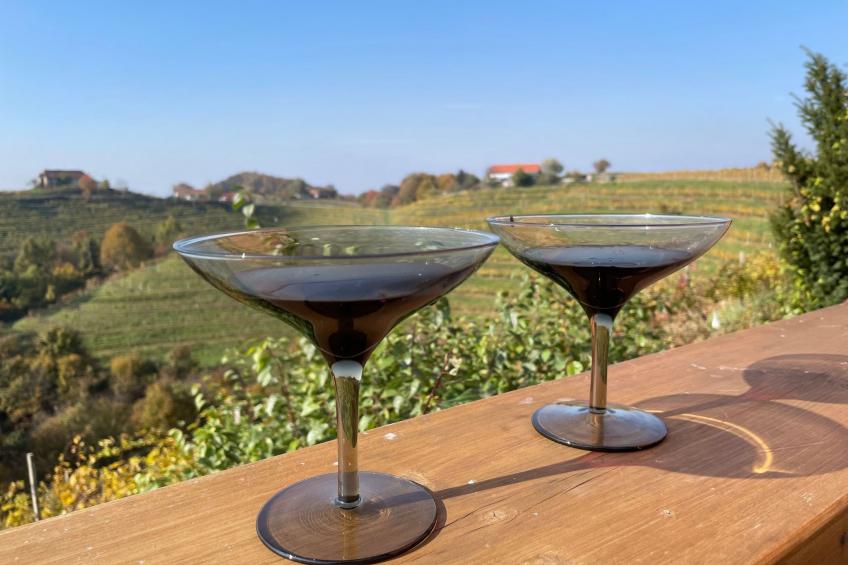 für 8 Personen  + 4 Kinder ca. 200 m² in Ptuj, Untersteiermark (Drau Slowe - foto 29