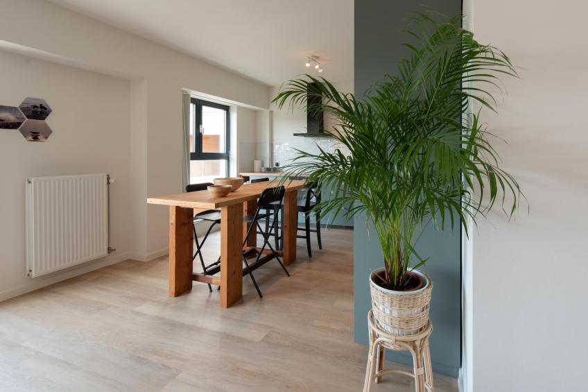 New Helmond - foto 12