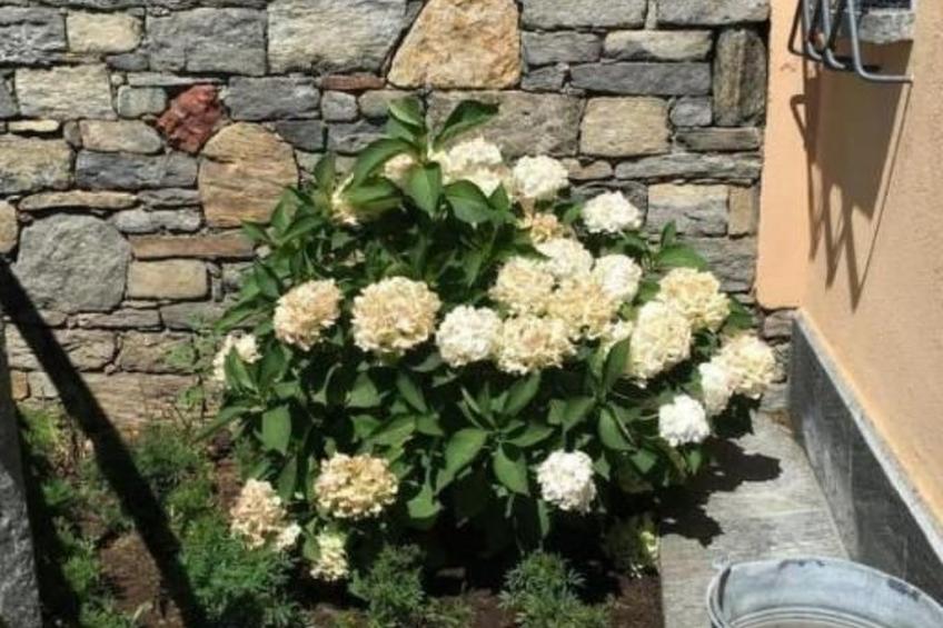 "Haus St. Bernhard - foto 10