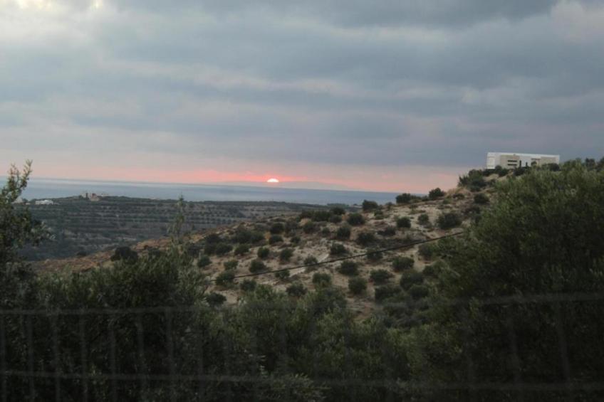 Orelia Cretan Villa II 4 persons - foto 41