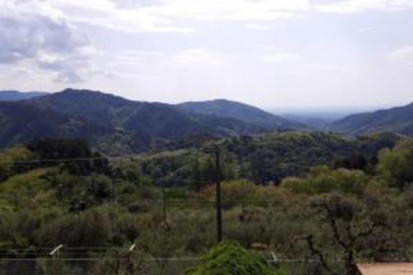 Casa Arena - foto 31