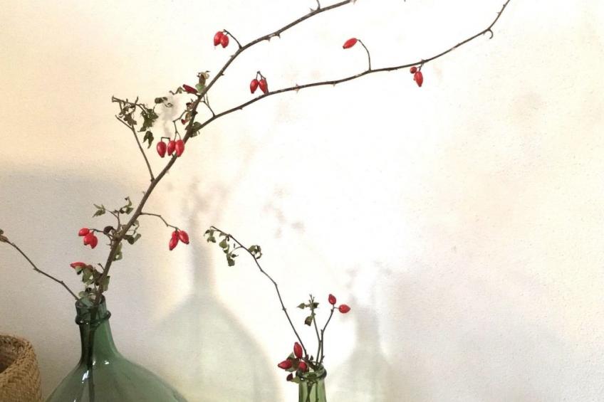 Saint Gildas de Rhuys - In der Nähe des Ozeans - foto 13