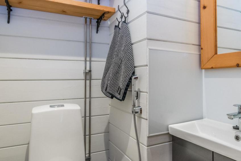 Tervapääsky - foto 16