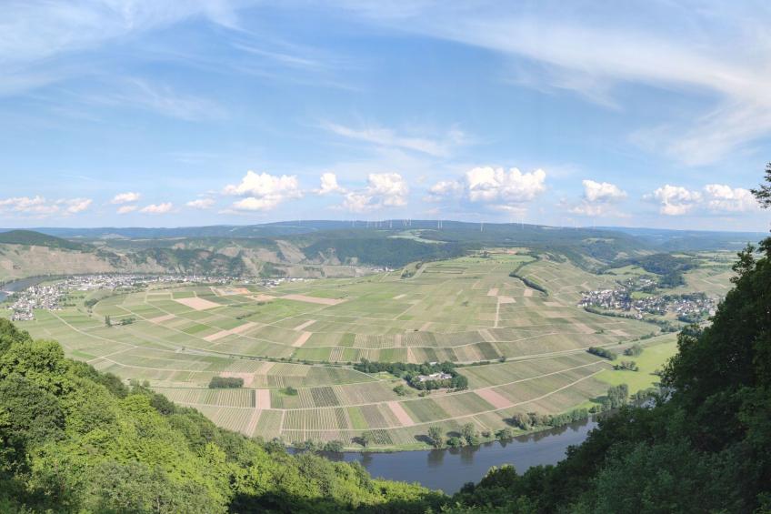 Auszeit Trittenheim - foto 18