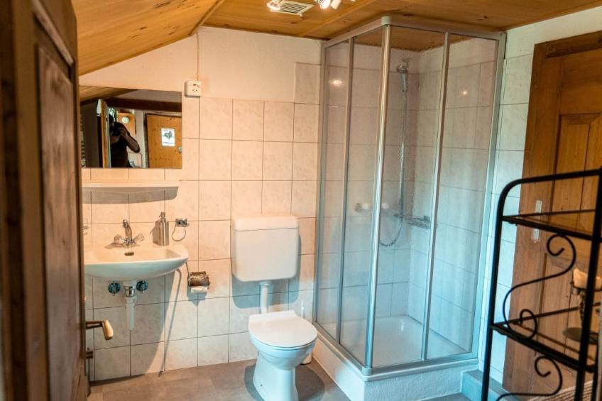 Presa Daint - foto 9