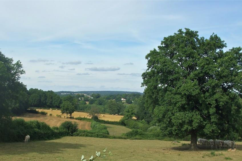 Maison de vacances - PIONSAT - grote gite - foto 26