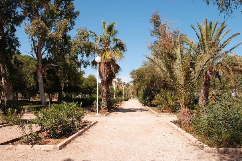 Violeta 17 - foto 141