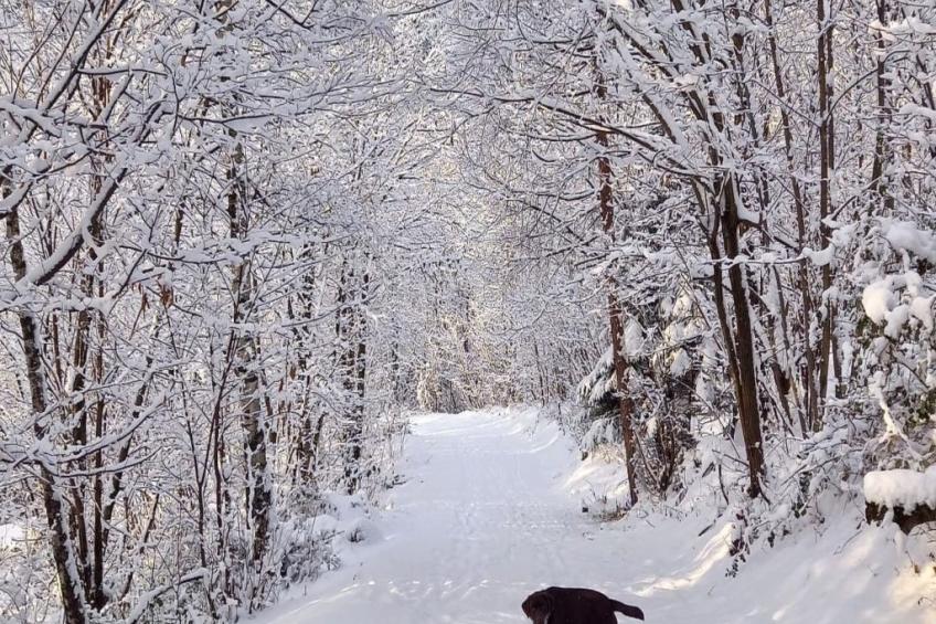 Rustico Raslina - foto 37