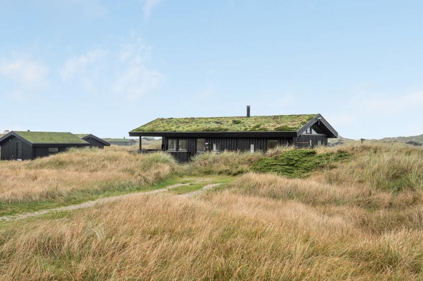 "Eri" - 300m from the sea in NW Jutland