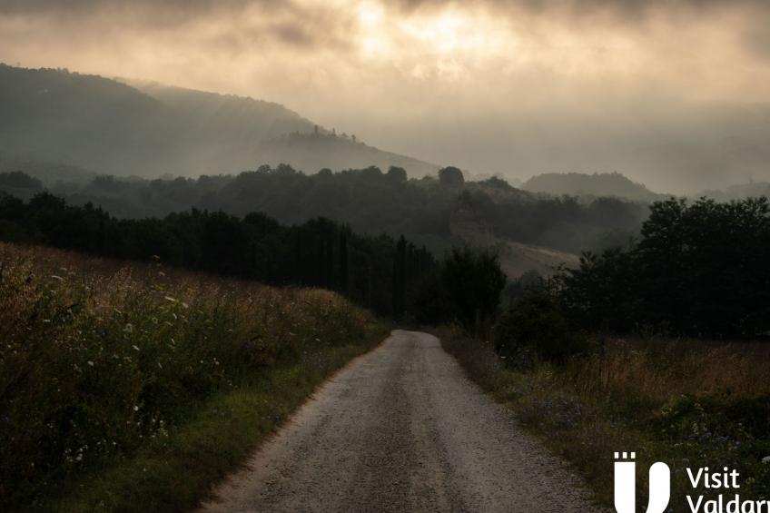 Flache Linde - foto 56