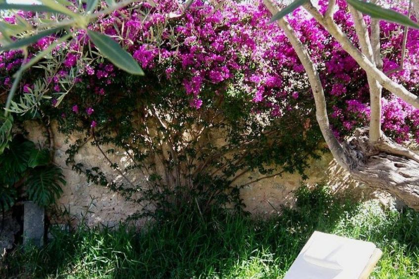 Garten Appartment - foto 24