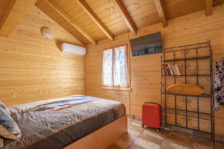 'Vindemia la salmon - foto 11