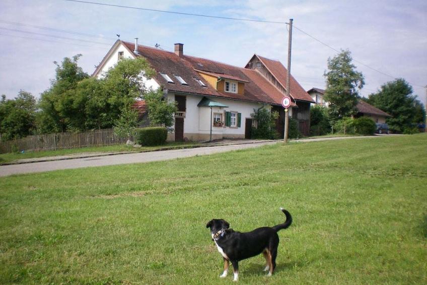 19882 - foto 2