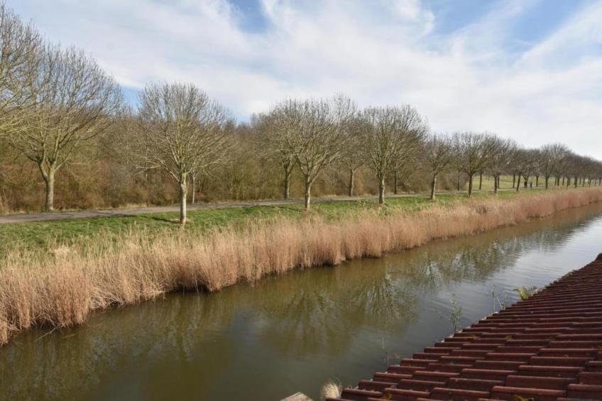 Standaard 207 - foto 26