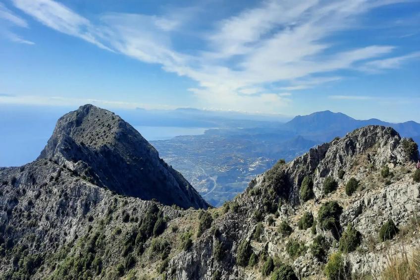 El Bosque de la Mairena - foto 26