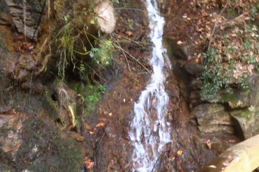 "Großmutters Häuschen" mit überdachter Terrasse - foto 36