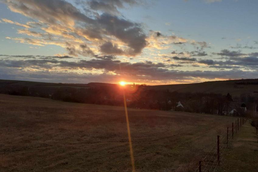 Legedi Ház - foto 5