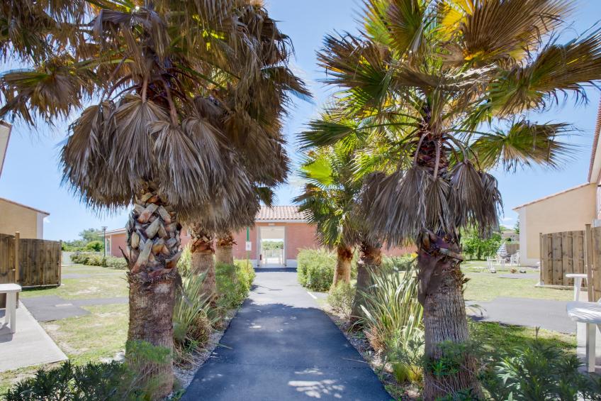 Le Domaine d'EnsÃ©rune	Maison 3 piÃ¨ces 6 personnes - foto 18