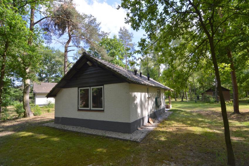 't Haasje - foto 4