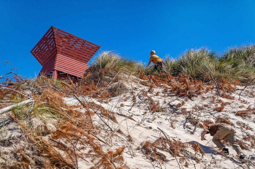 2 room less good location - foto 4